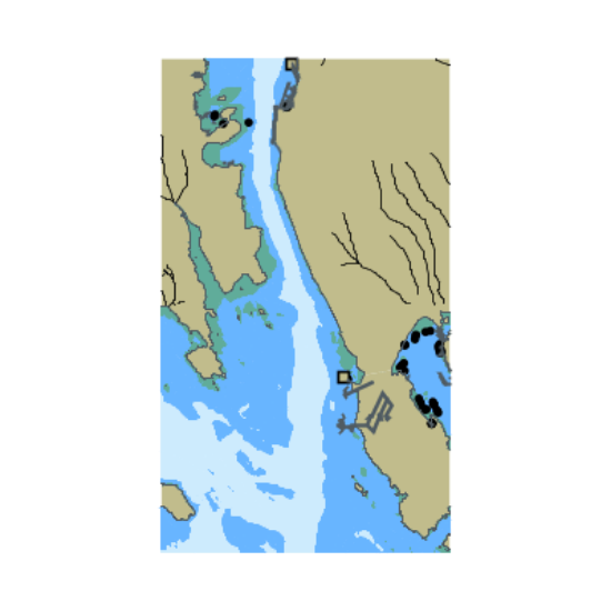 Picture of CA571077