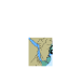 Picture of CA571090