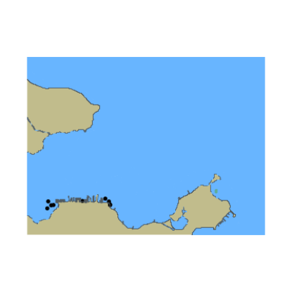 Picture of Puerto de Caibarien
