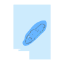 Picture of Amanu - Iles Tuamotu