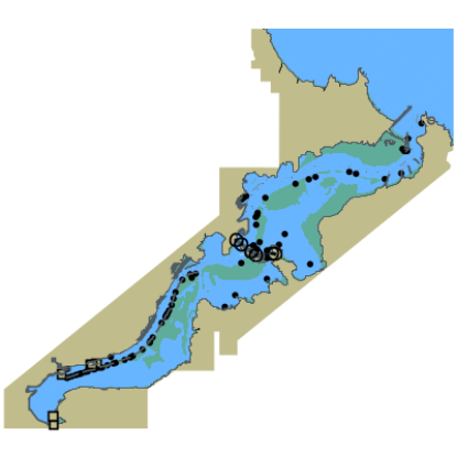 Picture of South Island - East Coast - Otago Harbour