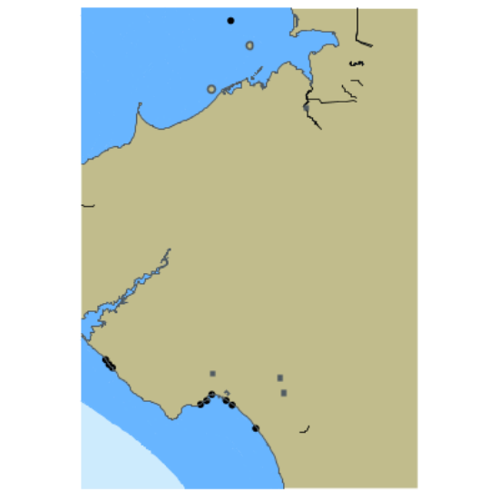 Picture of Black Sea. Karkinitska Gulf. Kalamitska Gulf. Yevpatoriia
