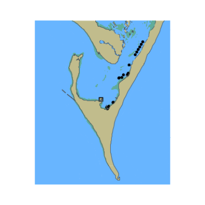 Picture of Beaufort Inlet; Lookout Bight