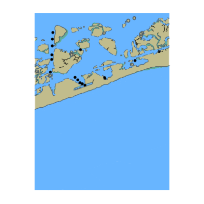 Picture of West Gilgo Beach to Cedar Beach - Long Island