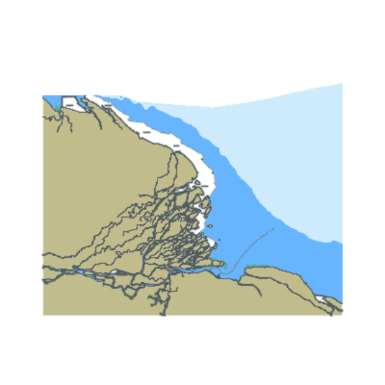 Picture of Delta del Orinoco