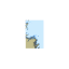Picture of CA24USNA