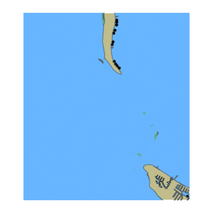 Picture of Entrance to Tampa Bay