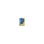 Picture of Marken