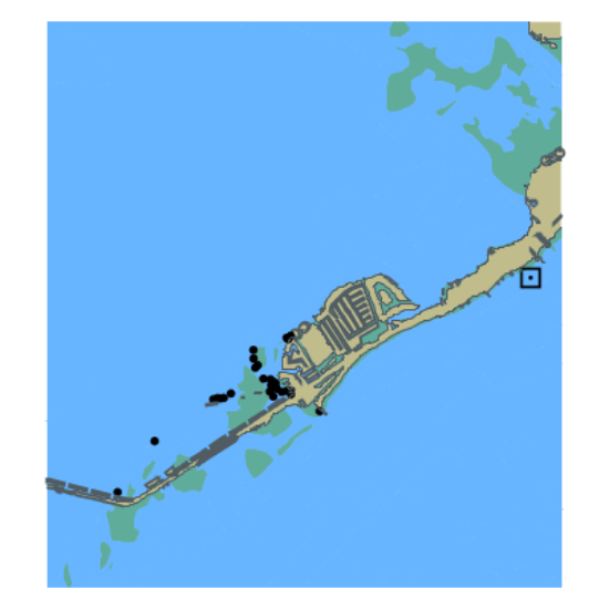 Picture of Hawk Channel - Florida Bay and Channel Five