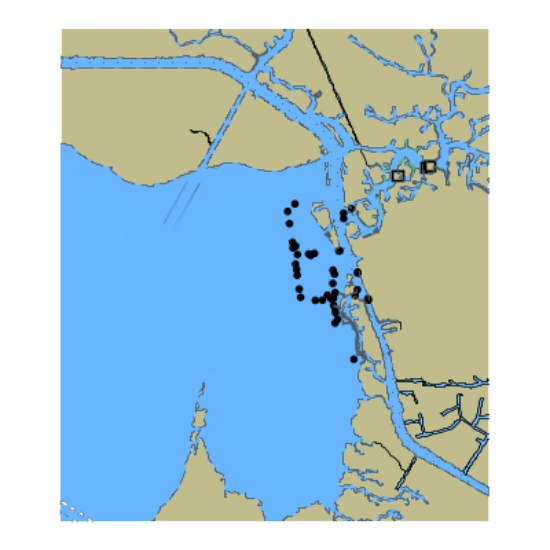 Picture of Gulf Intracoastal Waterway - Vermilion Bay to Weeks Bay Including Acadiana Navigation