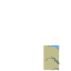 Picture of unknown