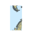 Picture of Drake Passage