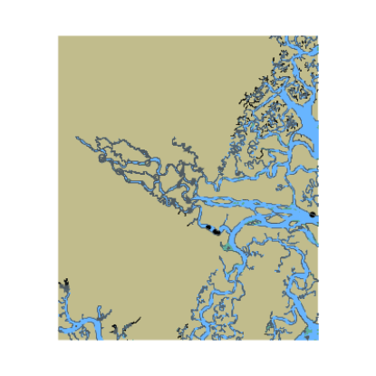 Picture of Altamaha River