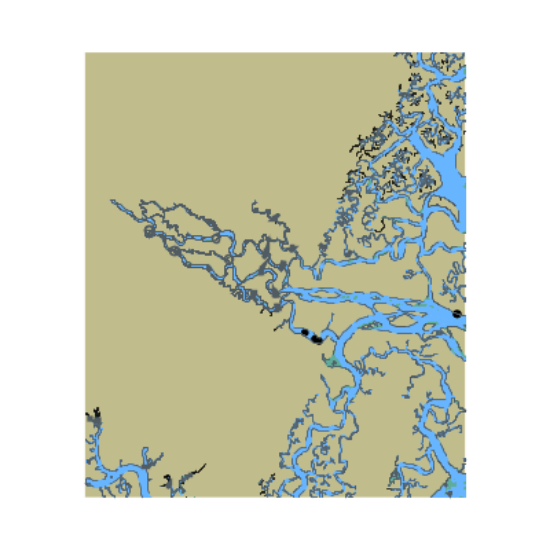 Picture of Altamaha River