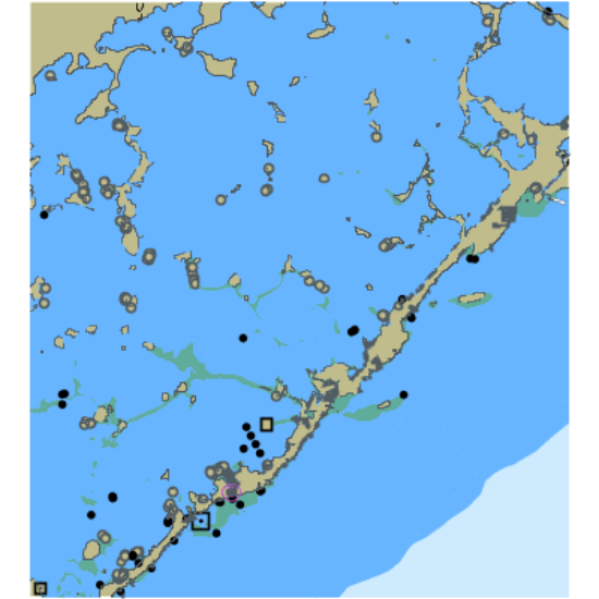 Picture of Florida Keys - Straits of Florida and Florida Bay