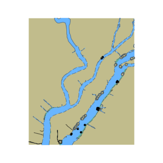 Picture of Atlantic Intracoastal Waterway - Waccamaw River and Great Pee Dee River
