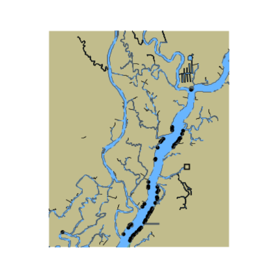 Picture of Atlantic Intracoastal Waterway - Waccamaw River