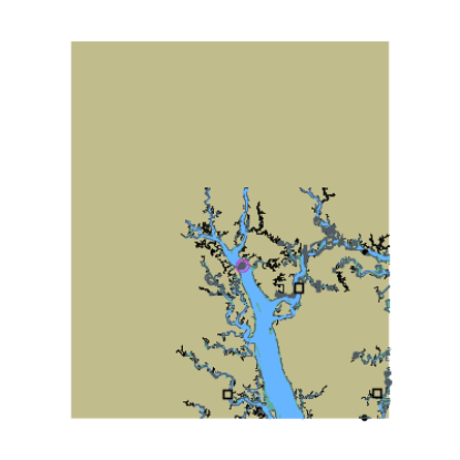 Picture of Whale Branch to Broad River