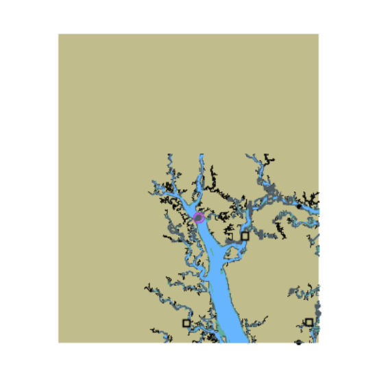 Picture of Whale Branch to Broad River
