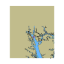 Picture of Whale Branch to Broad River