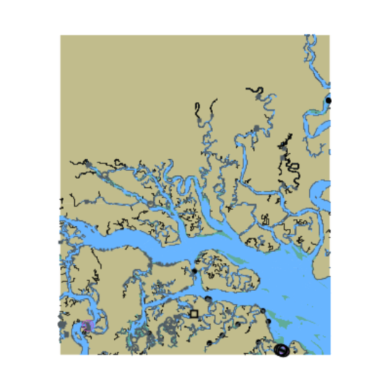 Picture of Saint Helena Sound; Coosaw; and Morgan Rivers