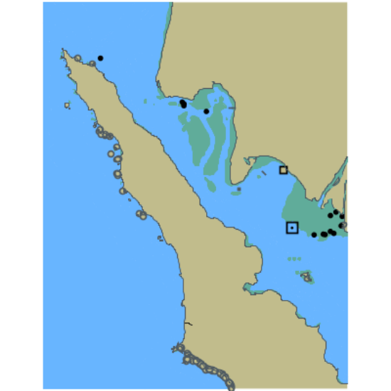 Picture of Tomales Bay - Tomales Point CA