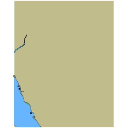 Picture of Tomales Bay - Nicks Cove CA