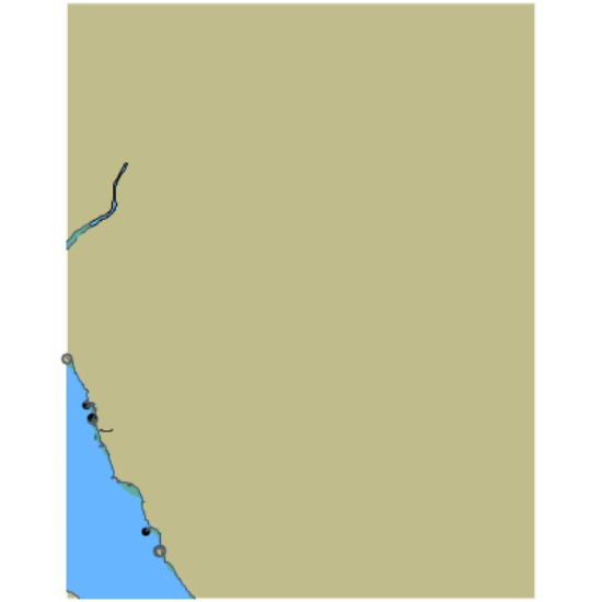 Picture of Tomales Bay - Nicks Cove CA