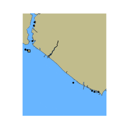 Picture of Neuse River - Beard Creek