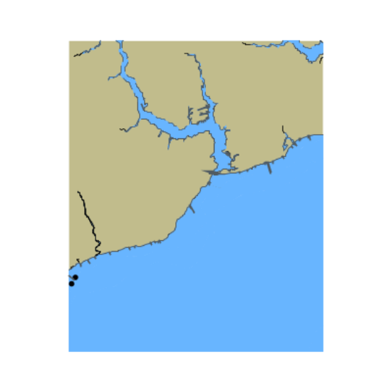 Picture of Neuse River - Greens Creek and Dawson Creek