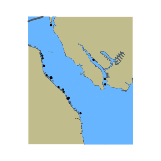 Picture of Neuse River - Fairfield Harbour