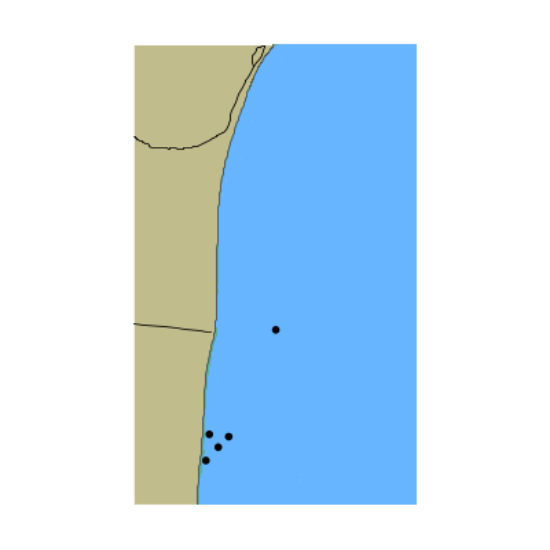 Picture of Sizewell C