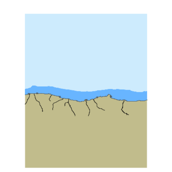 Picture of Darsu-Bahceli