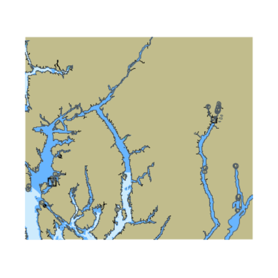 Picture of Behm Canal AK