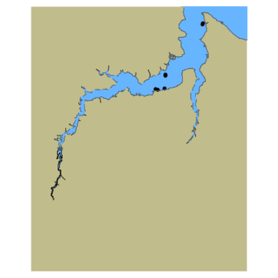 Picture of Pamlico River - Durham Creek