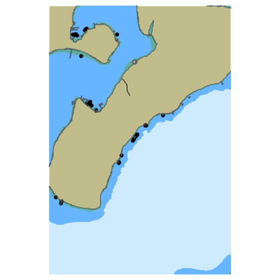 Picture of Point Piner
