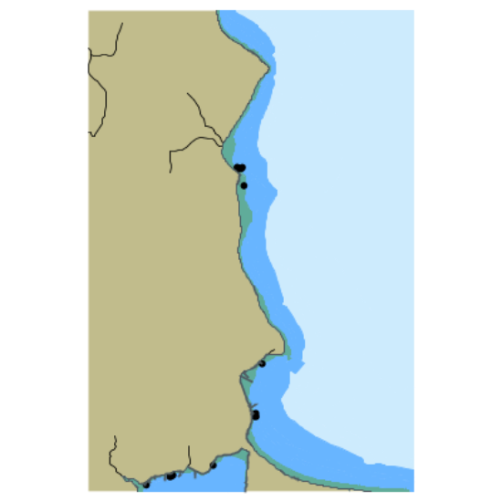 Picture of Tramp Harbor