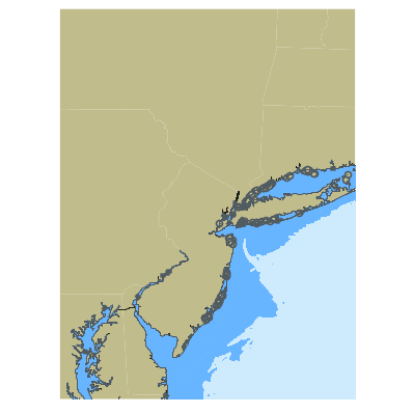 Picture of Delaware Bay to Montauk Point; NY