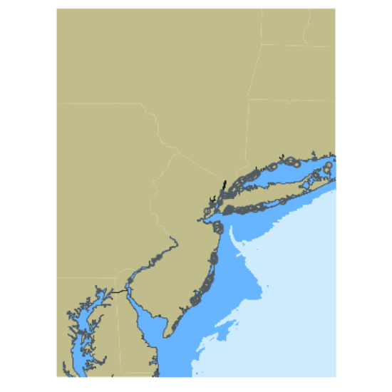 Picture of Delaware Bay to Montauk Point; NY